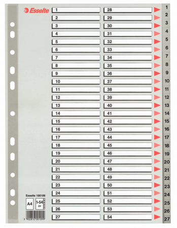 Organizare si arhivare - SEPARATOARE INDEX PLASTIC 1-54 MAXI ESSELTE