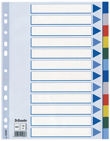 Organizare si arhivare - SEPARATOARE INDEX PLASTIC 12 CULORI ESSELTE
