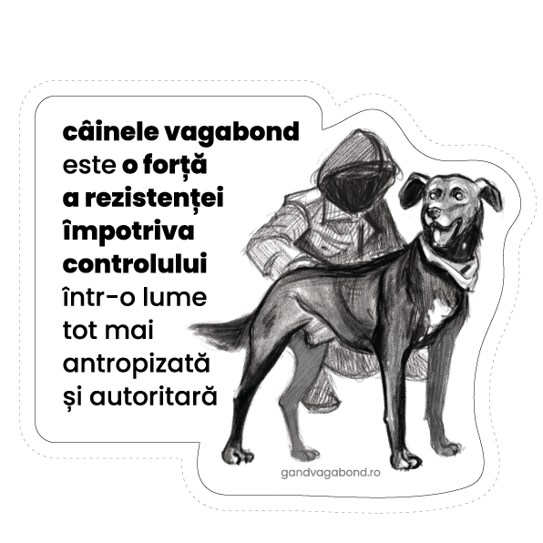 Câinele vagabond [1]