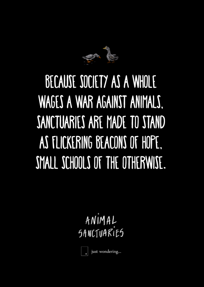 Escape Resistance Solidarity [2]