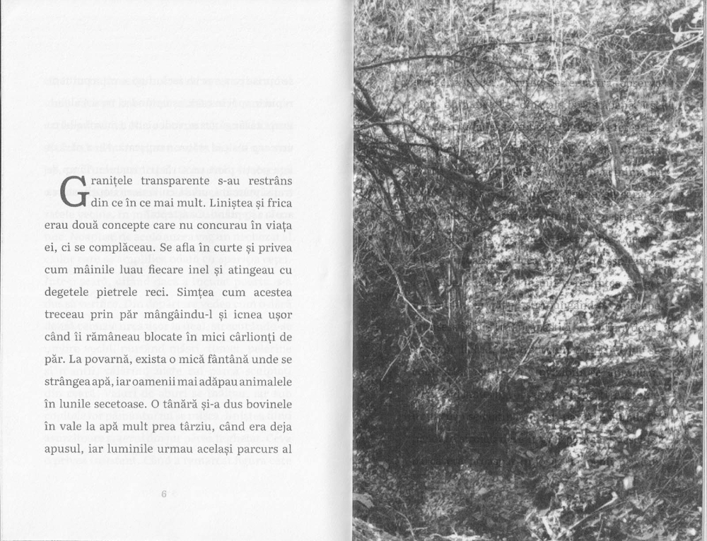 Granițele transparente s-au restrâns (Diana Baldovinescu) [2]