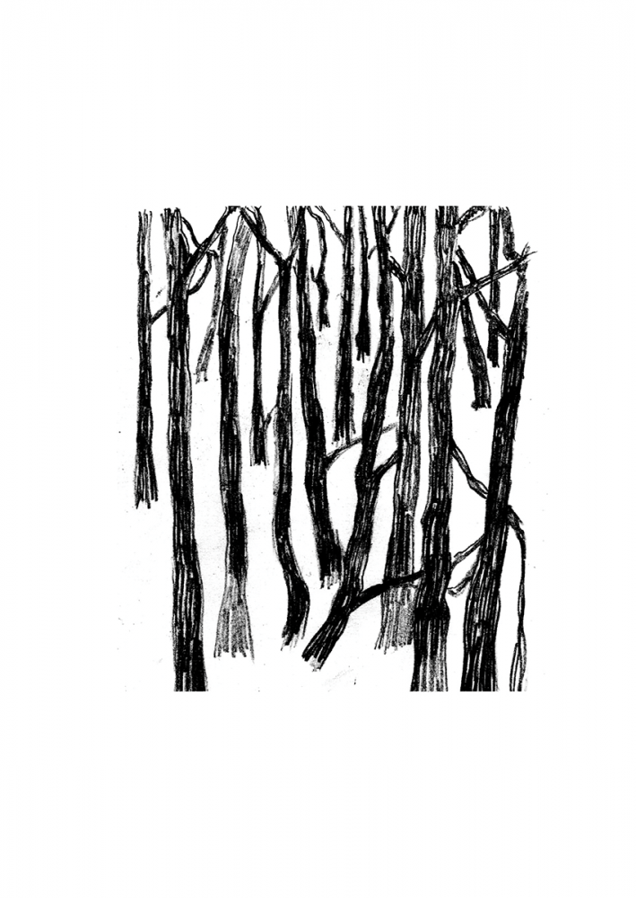 Walden - Pădure 3 [1]