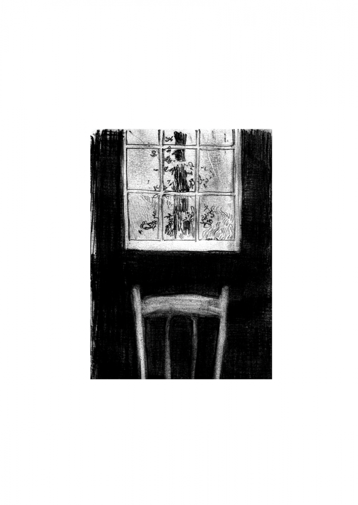 Walden - Vedere pe geam [1]