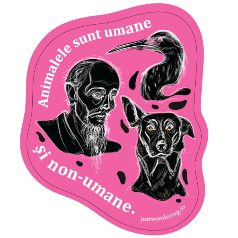 Stickere - Animale nonumane