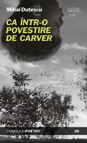 Cărticele și broșuri - Ca într-o povestire de Carver (Mihai Duțescu)