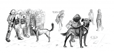 Ilustrații - Cartolină  - Riot dog