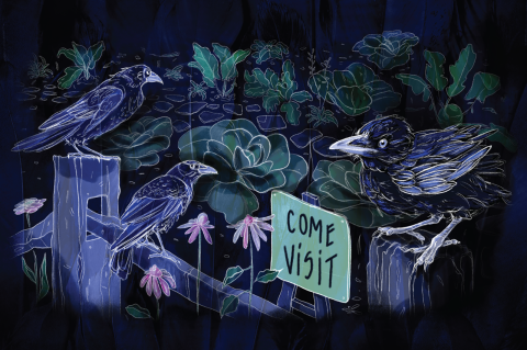 Ilustrații - Come visit