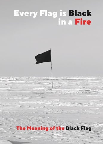 Cărticele și broșuri - Every flag is black in a fire (CrimethInc.)