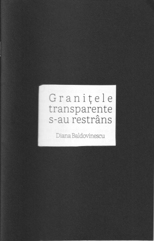 Produse - Granițele transparente s-au restrâns (Diana Baldovinescu)