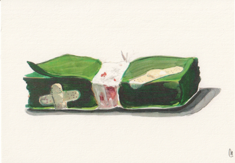 Ilustrații - Green wound