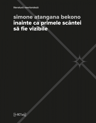 Produse - înainte ca primele scântei să fie vizibile (Simone Atangana Bekono)