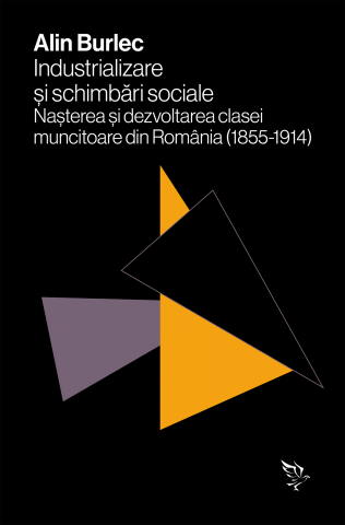 Produse - Industrializare și schimbări sociale (Alin Burlec)