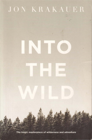 Produse - Into the wild (Jon Krauker)