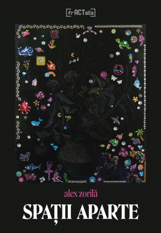 Produse - Spații aparte (Alex Zorilă)