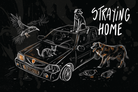 Ilustrații - Straying home