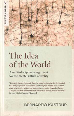 Produse - The idea of the world (Bernardo Kastrup)