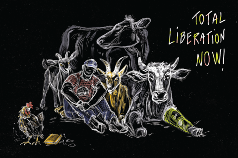 Ilustrații - Total liberation