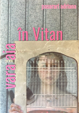 Cărticele și broșuri - vara aia în Vitan (Adriana Pasarari)