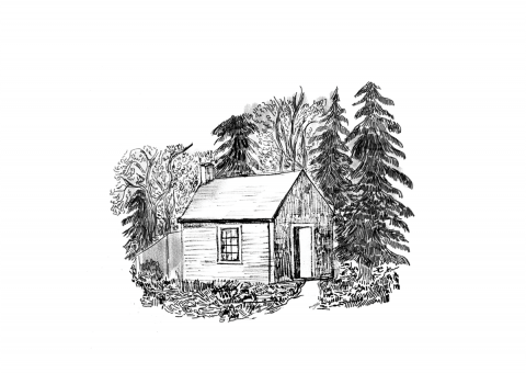 Ilustrații - Walden - Cabana