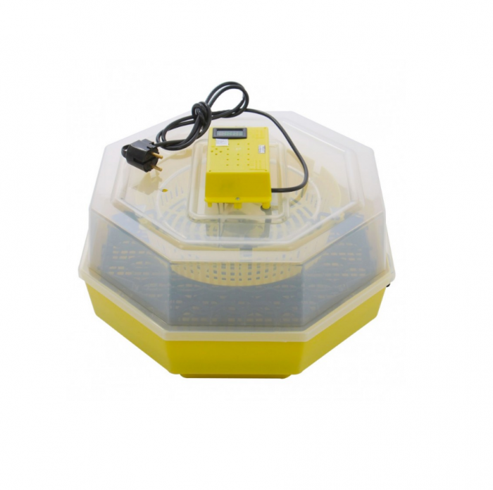 Incubator [1]