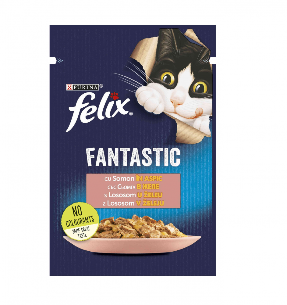 Felix plic somon [1]
