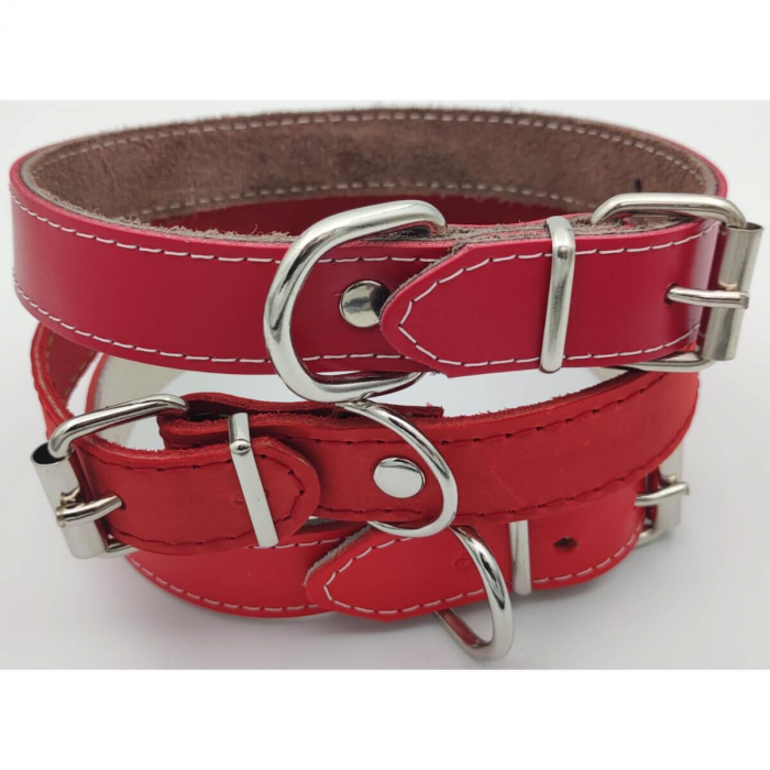 zgarda_piele_caine [3]