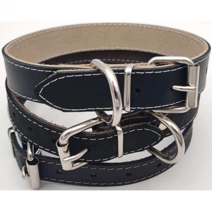 zgarda_piele_caine [3]