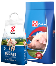 PASARI SI ANIMALE DE CURTE - Furaj porci