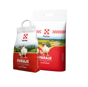 PASARI SI ANIMALE DE CURTE - Furaj pui