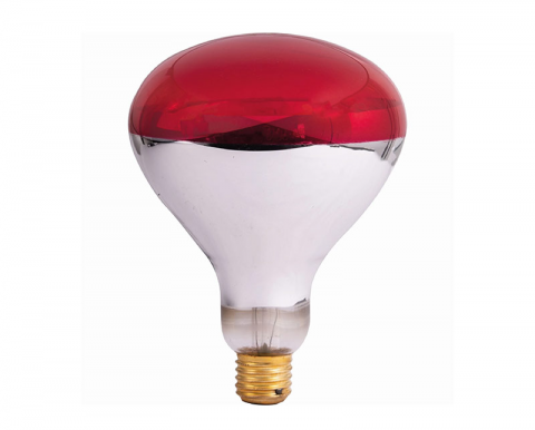 Accesorii pasari si animale - bec_infrarosu_250w