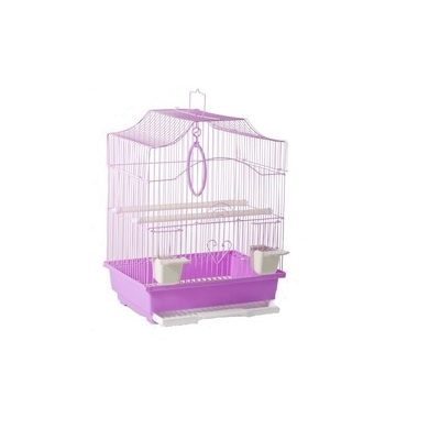 PASARI EXOTICE - Colivie