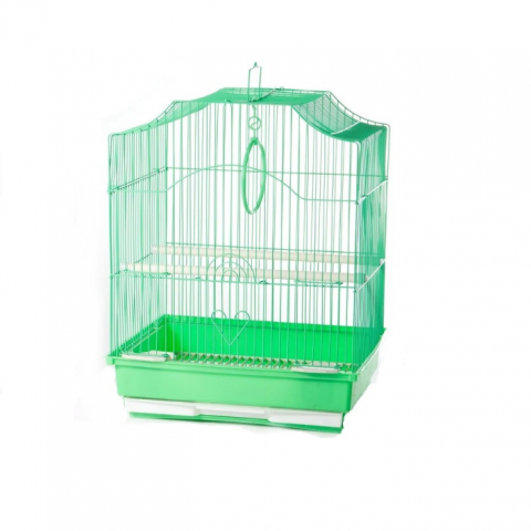 PASARI EXOTICE - Colivie