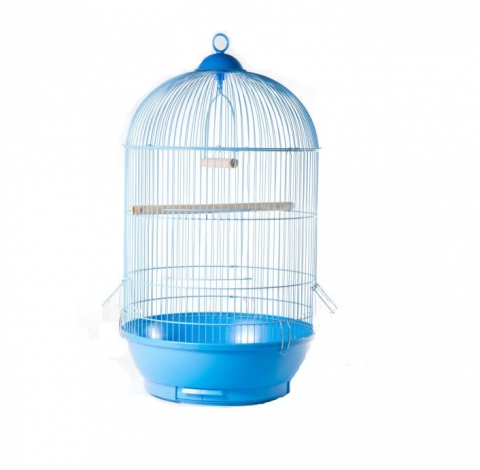 PASARI EXOTICE - Colivie