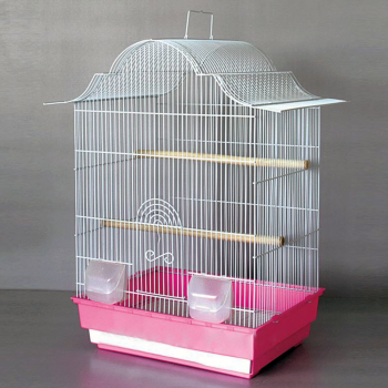 PASARI EXOTICE - Colivie