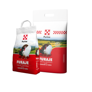 PASARI SI ANIMALE DE CURTE - Concentrat curca