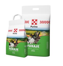 PASARI SI ANIMALE DE CURTE - Concentrat iepure