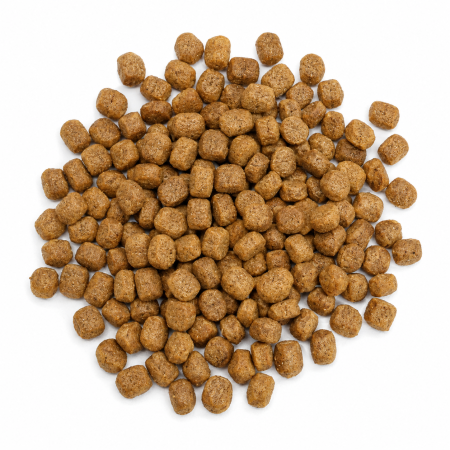 Hrana uscata pentru caini adulti, Extru Can Standard, cu Pasare 10 Kg [1]