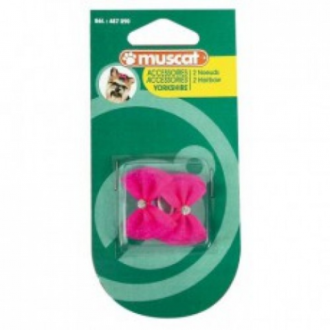 Accesorii pisici - Fundita