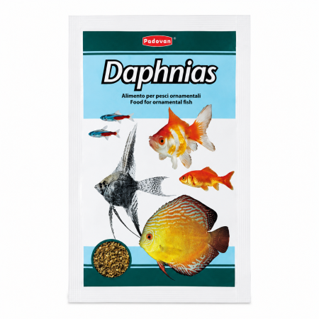 Hrana pesti - Hrana pentru pesti Padovan Daphnias 5 g