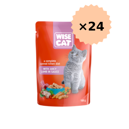 Hrana umeda pisici - Hrana umeda pentru PISOI JUNIORI plic CPF WISE CAT MIEL IN SOS, 24x100g