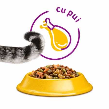  Hrana Uscata Pisici WHISKAS cu Pui 14kg [2]