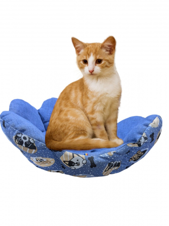 Accesorii caini - Pat caine/pisica