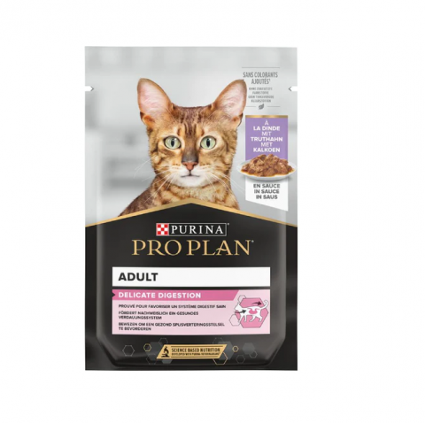 PISICI - Plic pisica