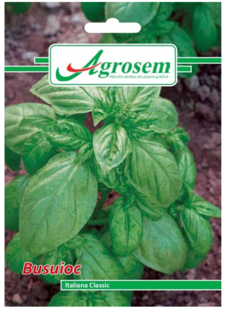 CASA SI GRADINA - Seminte Busuioc 3 gr.