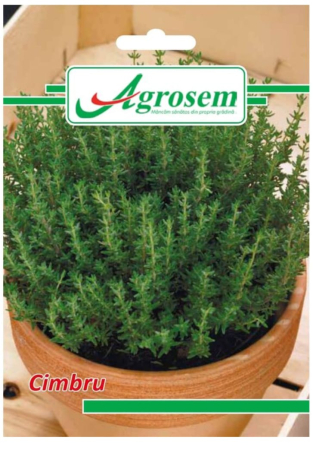 CASA SI GRADINA - Seminte Cimbru 0.4 gr.