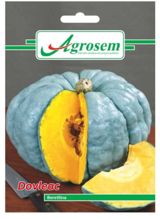 Seminte - Seminte Dovleac BERETTINA 2 GR