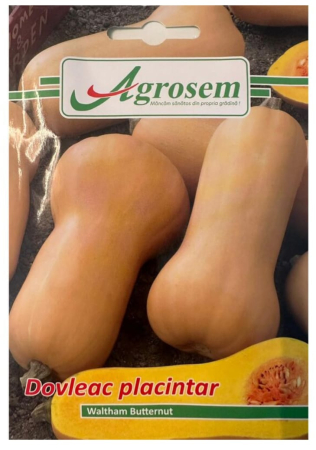 CASA SI GRADINA - Seminte Dovleac Placintar WALTHAM BUTTERNUT, AGROSEM