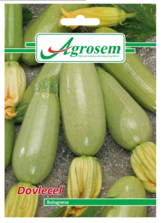 CASA SI GRADINA - Seminte Dovlecel BOLOGNESE 4GR