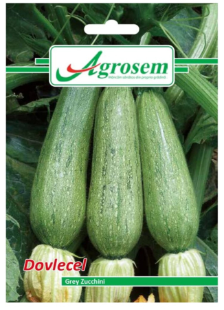 CASA SI GRADINA - Seminte Dovlecel GREY ZUCCHINI, AGROSEM-4GR