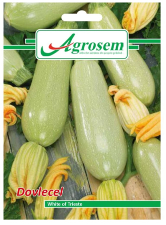 Seminte - Seminte Dovlecel WHITE OF TRIESTE, AGROSEM-4GR